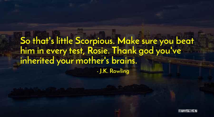 Little Brains Quotes By J.K. Rowling