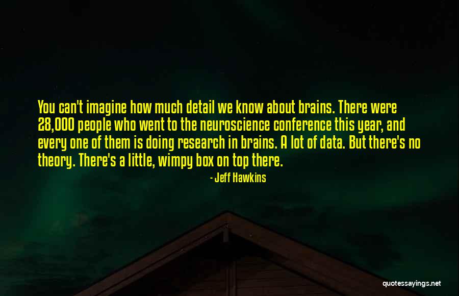 Little Brains Quotes By Jeff Hawkins