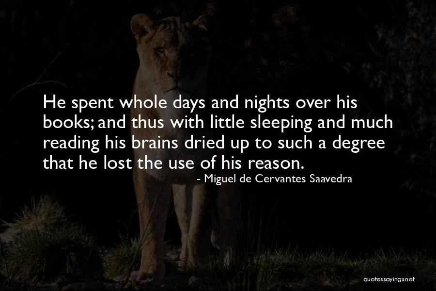 Little Brains Quotes By Miguel De Cervantes Saavedra