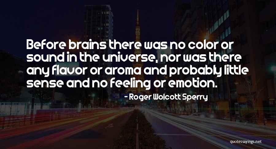 Little Brains Quotes By Roger Wolcott Sperry