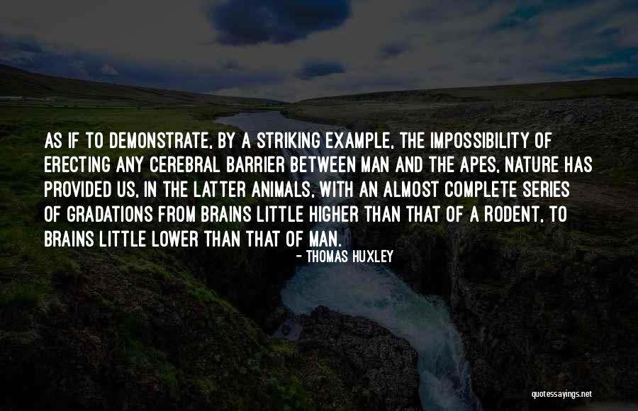 Little Brains Quotes By Thomas Huxley