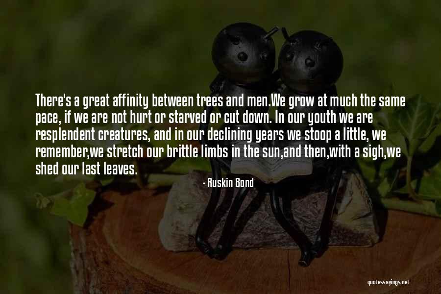 Little Brittle Quotes By Ruskin Bond