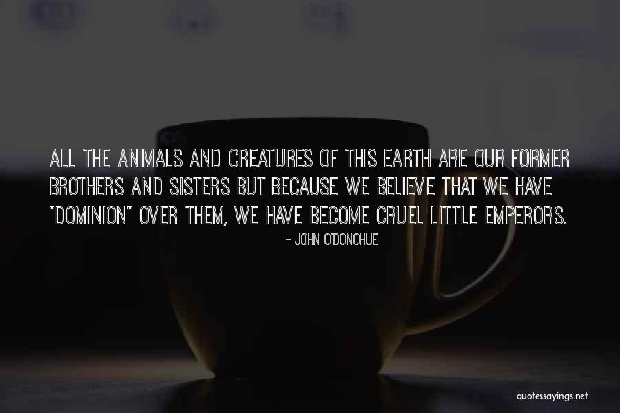 Little Brothers And Sisters Quotes By John O'Donohue Little Brothers And Sisters Quotes By John O'Donohue