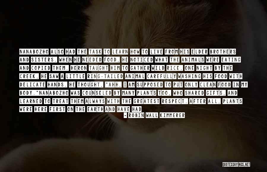 Little Brothers And Sisters Quotes By Robin Wall Kimmerer Little Brothers And Sisters Quotes By Robin Wall Kimmerer