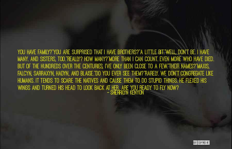 Little Brothers And Sisters Quotes By Sherrilyn Kenyon Little Brothers And Sisters Quotes By Sherrilyn Kenyon