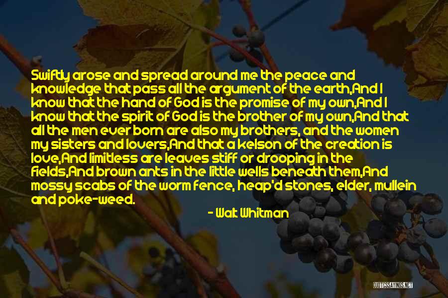 Little Brothers And Sisters Quotes By Walt Whitman Little Brothers And Sisters Quotes By Walt Whitman