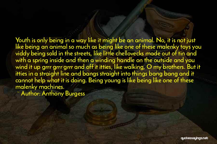 Little Brothers Quotes By Anthony Burgess