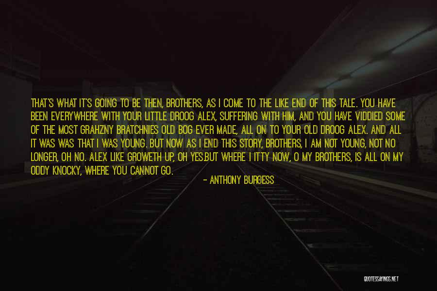 Little Brothers Quotes By Anthony Burgess Little Brothers Quotes By Anthony Burgess