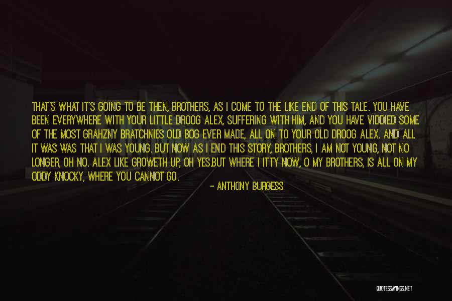 Little Brothers Quotes By Anthony Burgess