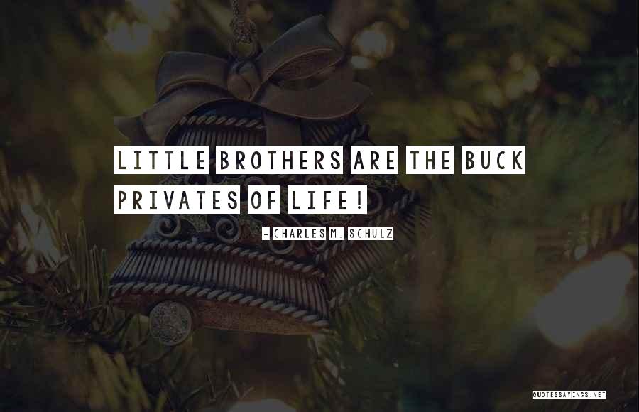 Little Brothers Quotes By Charles M. Schulz Little Brothers Quotes By Charles M. Schulz