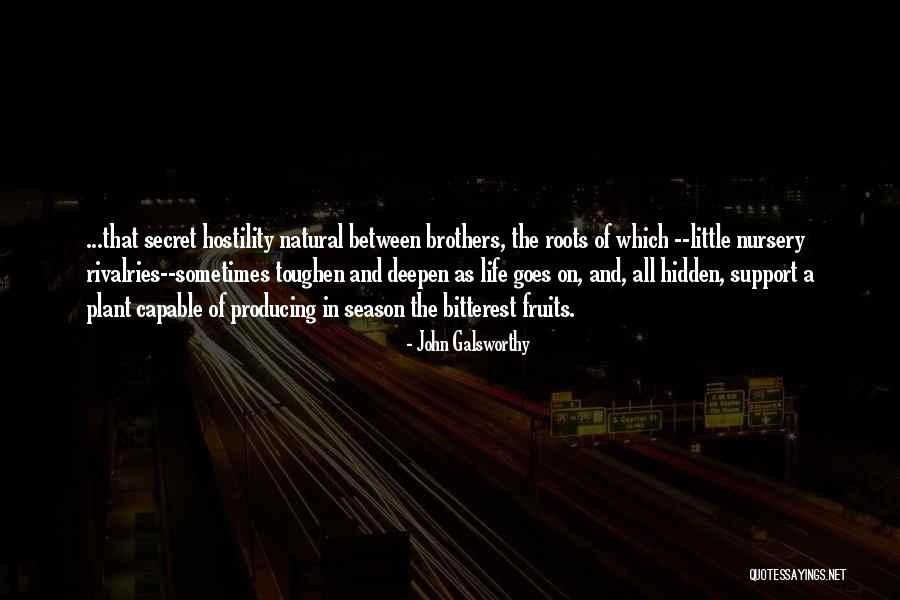 Little Brothers Quotes By John Galsworthy