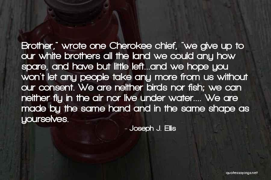 Little Brothers Quotes By Joseph J. Ellis