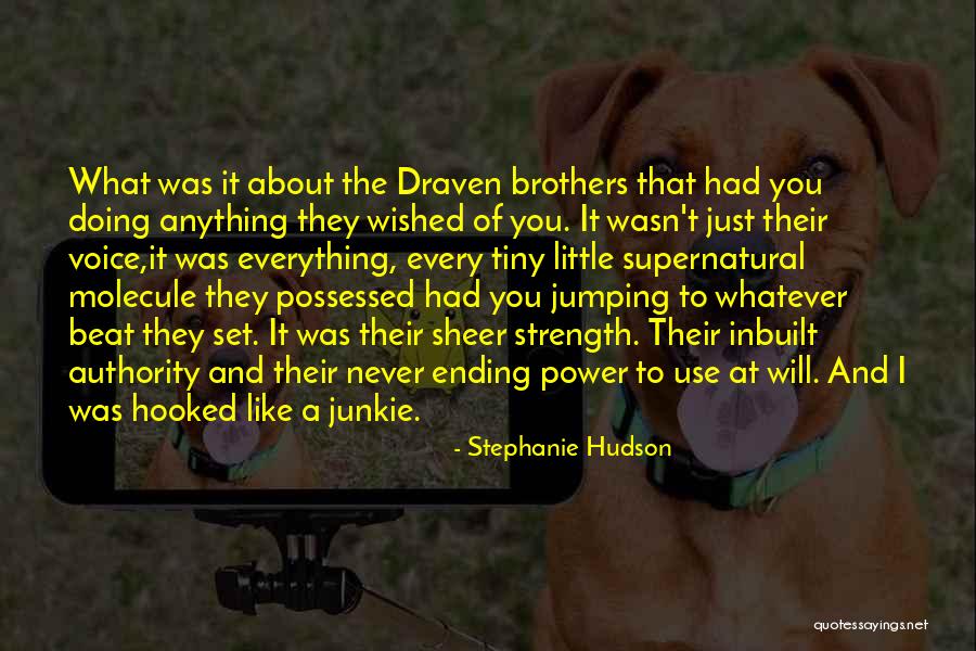 Little Brothers Quotes By Stephanie Hudson Little Brothers Quotes By Stephanie Hudson