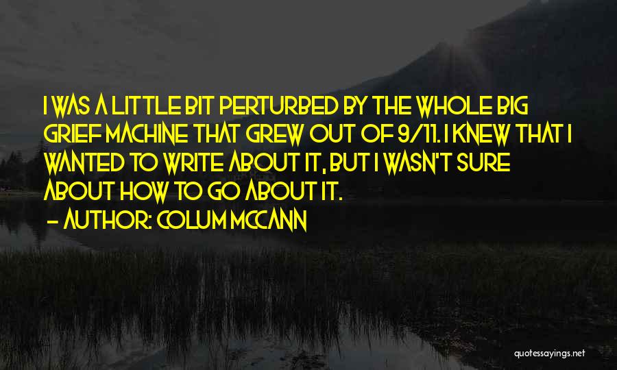Little But Big Quotes By Colum McCann
