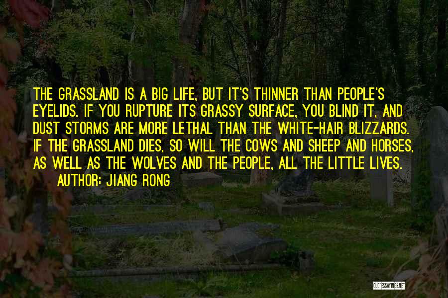 Little But Big Quotes By Jiang Rong