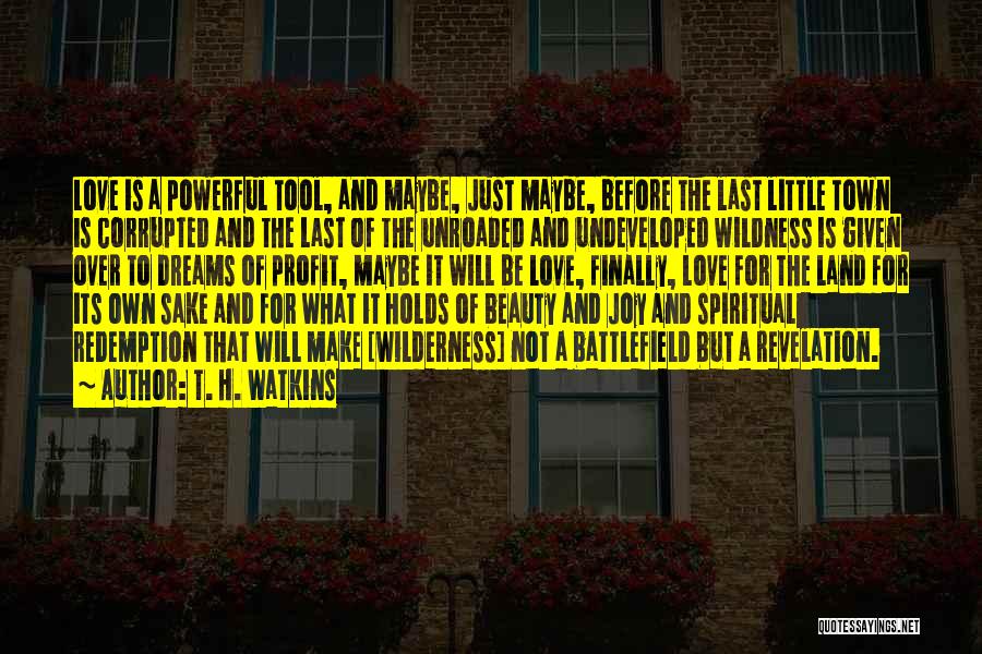 Little But Powerful Quotes By T. H. Watkins