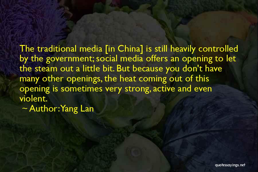 Little But Strong Quotes By Yang Lan