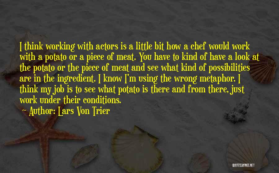 Little Chef Quotes By Lars Von Trier