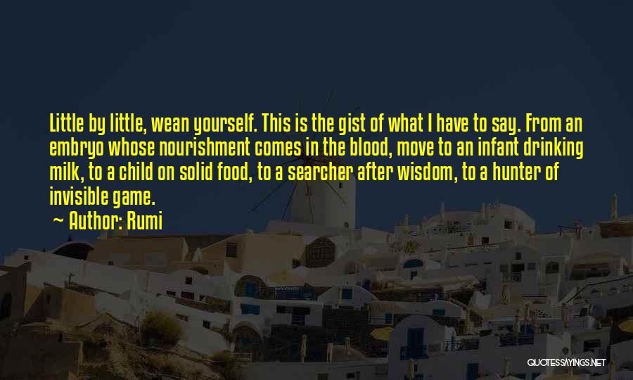 Little Child Quotes By Rumi