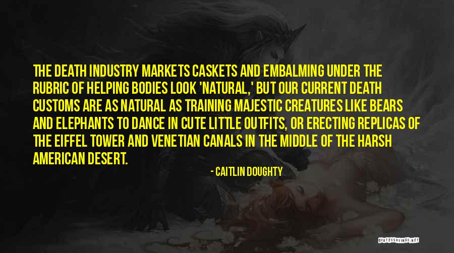 Little Cute Quotes By Caitlin Doughty Little Cute Quotes By Caitlin Doughty