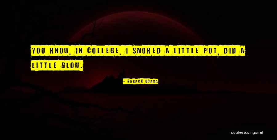 Little Did You Know Quotes By Barack Obama Little Did You Know Quotes By Barack Obama
