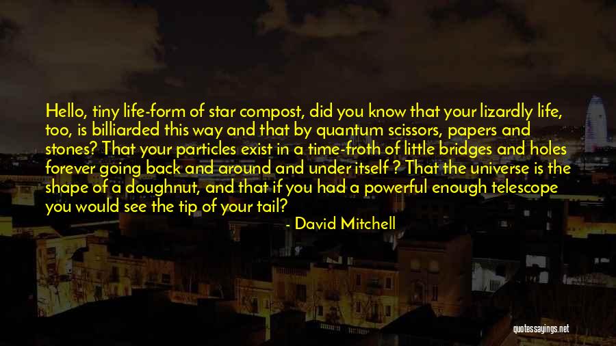 Little Did You Know Quotes By David Mitchell