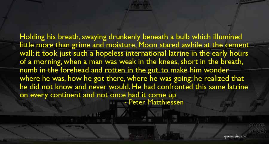 Little Did You Know Quotes By Peter Matthiessen Little Did You Know Quotes By Peter Matthiessen