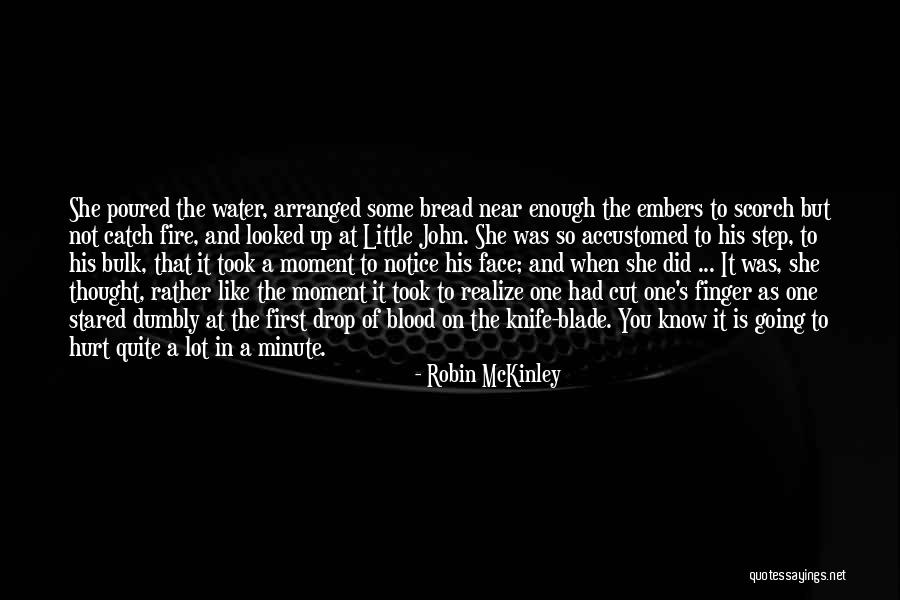 Little Did You Know Quotes By Robin McKinley Little Did You Know Quotes By Robin McKinley