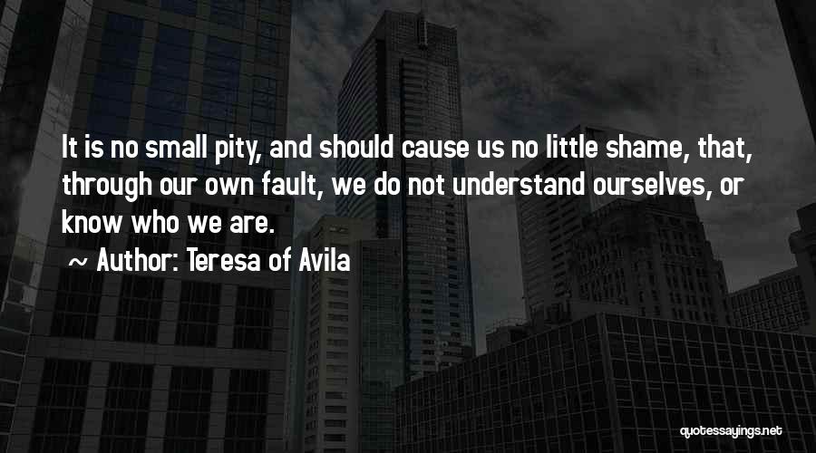 Little Do We Know Quotes By Teresa Of Avila
