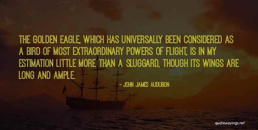 Little Eagle Quotes By John James Audubon Little Eagle Quotes By John James Audubon