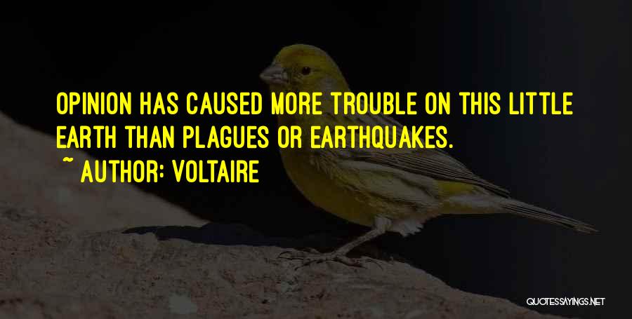 Little Earthquakes Quotes By Voltaire