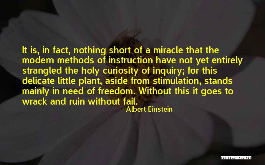 Little Einstein Quotes By Albert Einstein Little Einstein Quotes By Albert Einstein