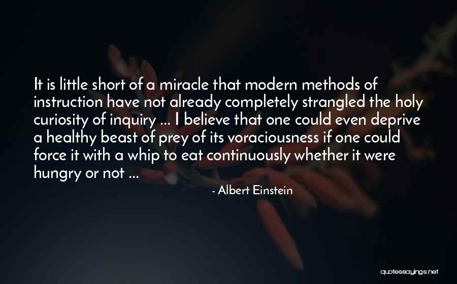 Little Einstein Quotes By Albert Einstein Little Einstein Quotes By Albert Einstein