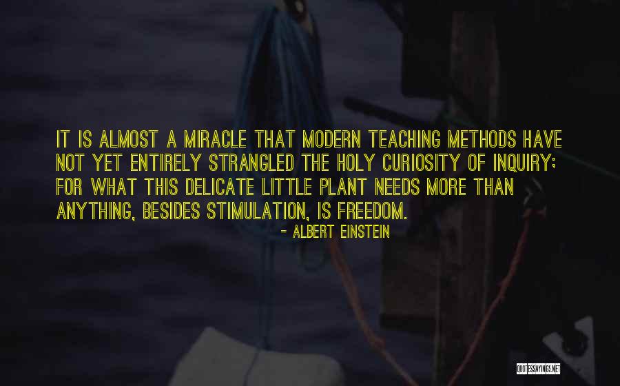 Little Einstein Quotes By Albert Einstein Little Einstein Quotes By Albert Einstein