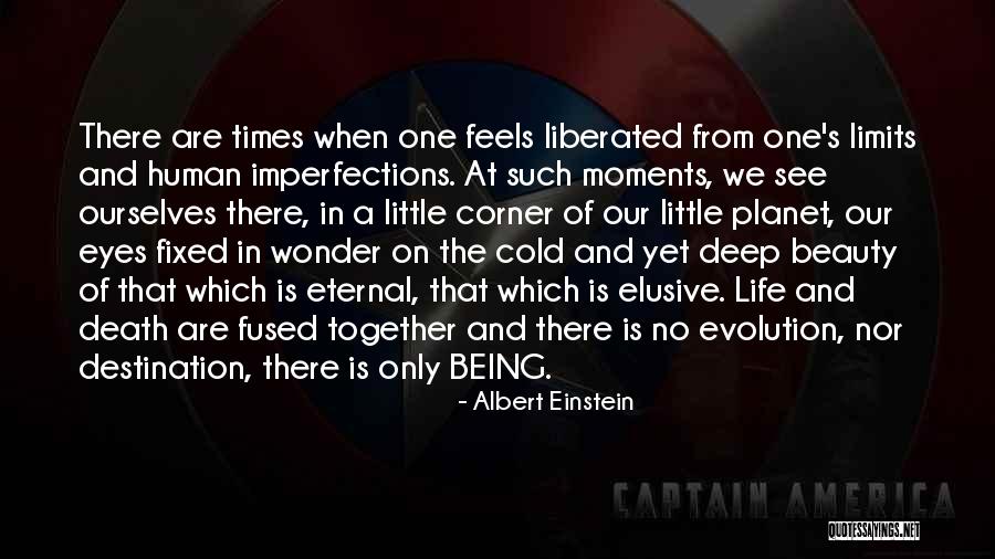 Little Einstein Quotes By Albert Einstein Little Einstein Quotes By Albert Einstein