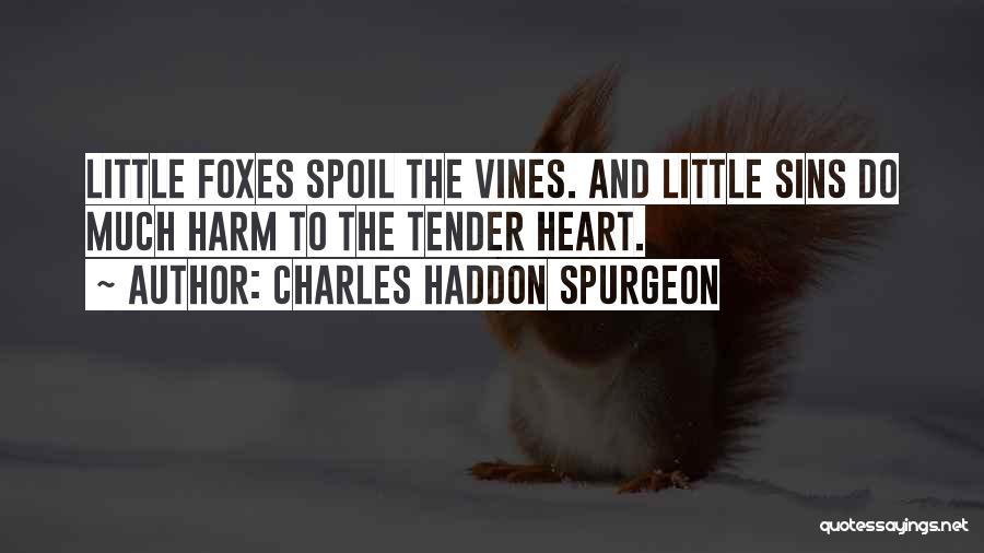 Little Foxes Quotes By Charles Haddon Spurgeon