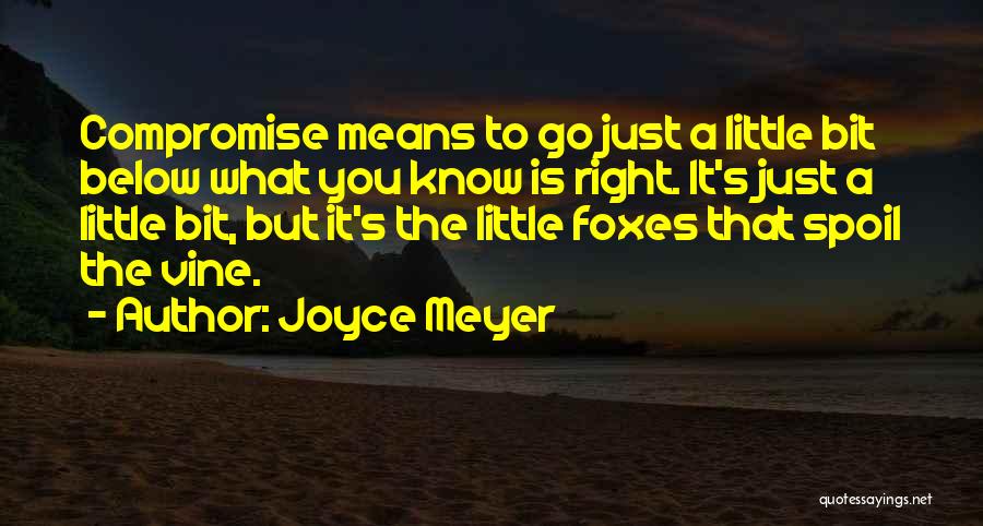 Little Foxes Quotes By Joyce Meyer