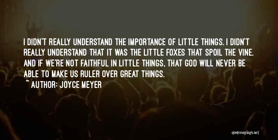 Little Foxes Quotes By Joyce Meyer