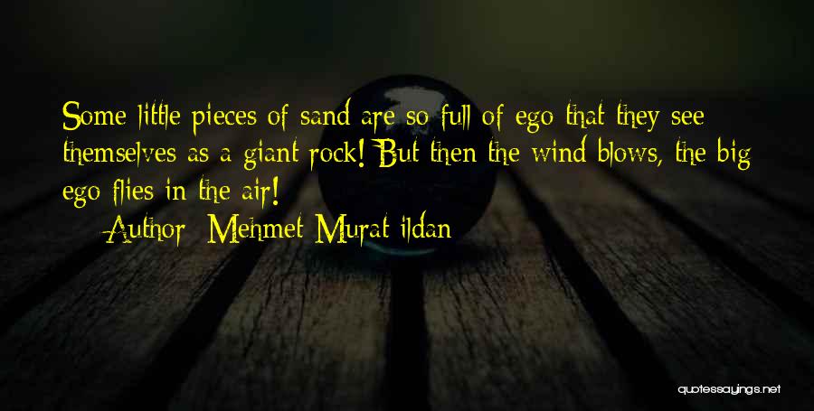 Little Giant Quotes By Mehmet Murat Ildan