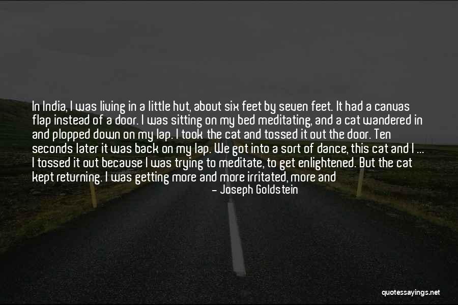 Little Hut Quotes By Joseph Goldstein Little Hut Quotes By Joseph Goldstein