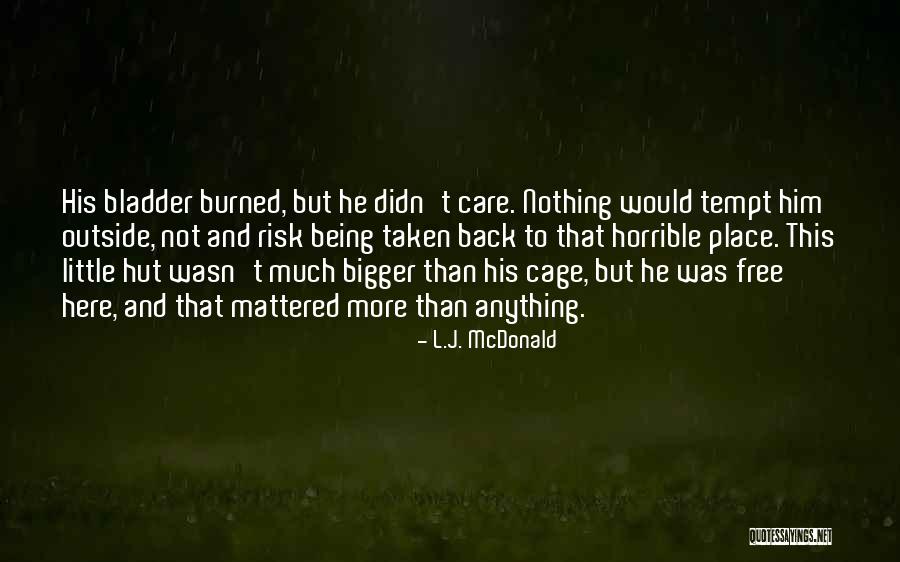 Little Hut Quotes By L.J. McDonald Little Hut Quotes By L.J. McDonald
