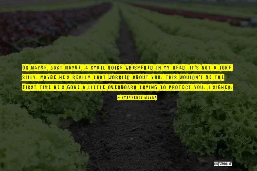 Little Joke Quotes By Stephenie Meyer Little Joke Quotes By Stephenie Meyer