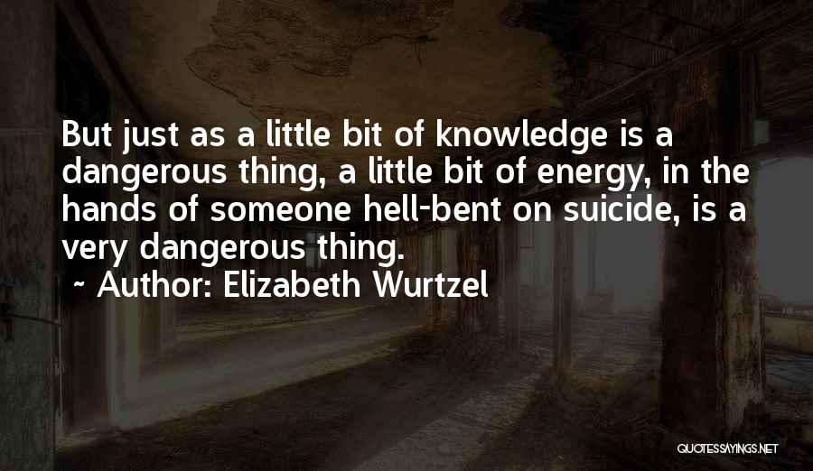 Little Knowledge Is A Dangerous Thing Quotes By Elizabeth Wurtzel