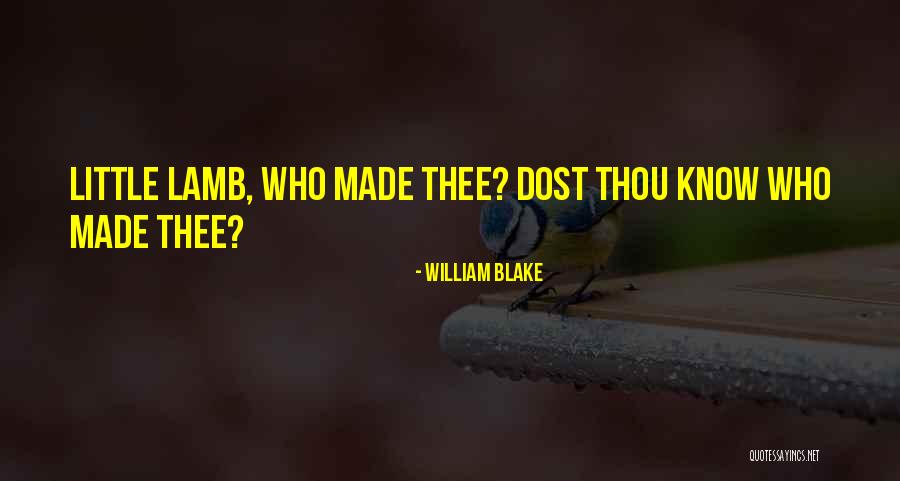 Little Lambs Quotes By William Blake Little Lambs Quotes By William Blake