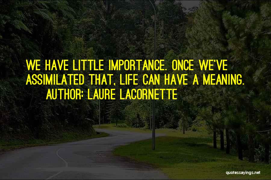 Little Life Quote Quotes By Laure Lacornette