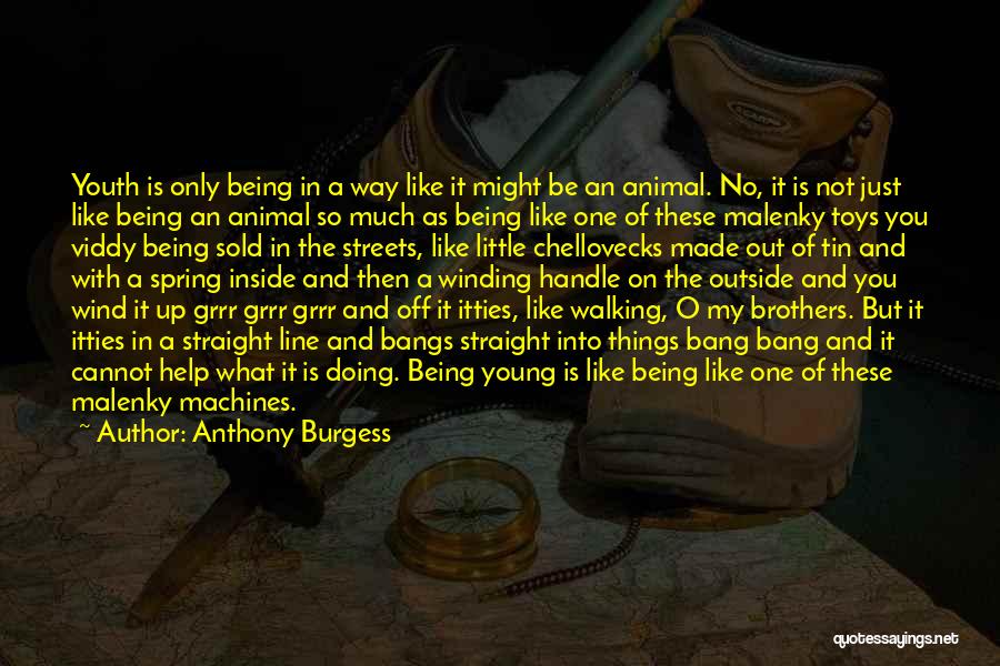 Little Machines Quotes By Anthony Burgess