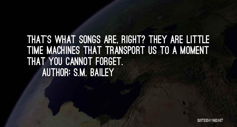 Little Machines Quotes By S.M. Bailey