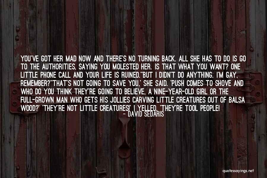 Little Man What Now Quotes By David Sedaris Little Man What Now Quotes By David Sedaris