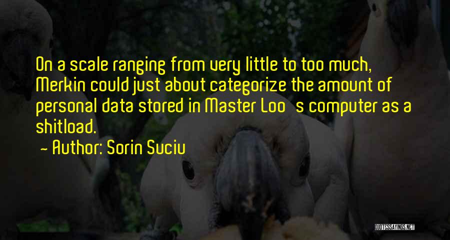 Little Master Quotes By Sorin Suciu