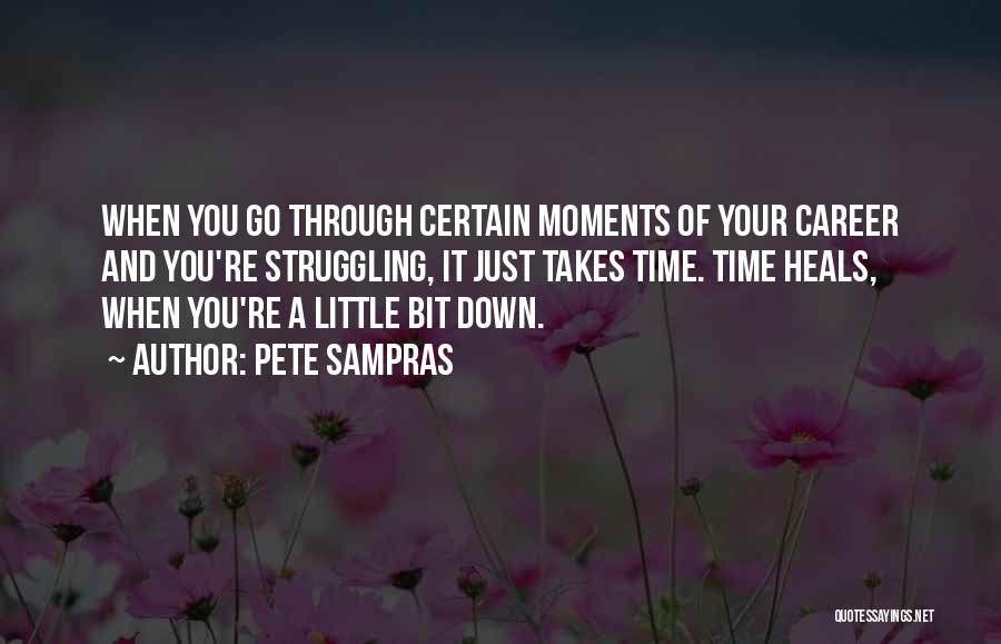 Little Moments Quotes By Pete Sampras